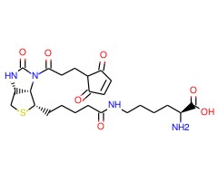 3-(N-马来酰亚胺基丙酰基)生物胞素图片