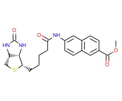 N-生物素-6-氨基-2-萘甲酸甲酯图片