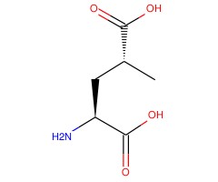 (2S,4R)-4-甲基谷氨酸图片