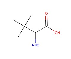 DL-叔亮氨酸图片