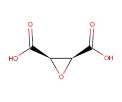 顺-环氧琥珀酸图片