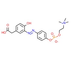 4-羟基-3-(对-重氮苯基磷酰胆碱)苯乙酸图片