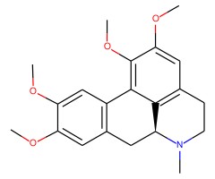 D-谷氨酸图片