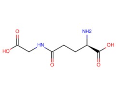 γ-D-谷氨酰基甘氨酸图片