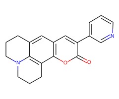 香豆素510图片