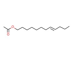 (E)-8-十二烯-1-基乙酸酯图片