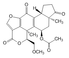 渥曼青霉素图片