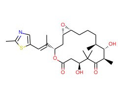 埃博霉素 A图片
