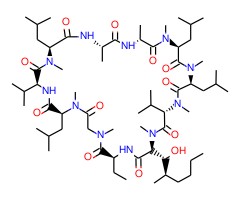 双氢环孢菌素A图片