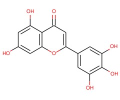 五羟黄酮（AS）图片