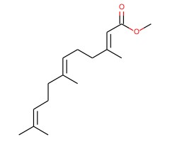 十二碳三烯酸图片
