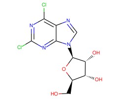 2,6-二氯嘌呤核苷图片