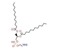 1,2-二月桂酰磷脂酰乙醇胺图片