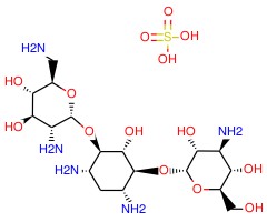 卡那霉素B 硫酸盐（标准品）图片