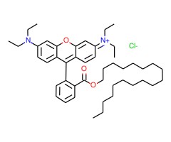 十八基罗丹明B氯化物图片