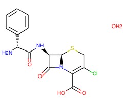 头孢克洛（标准品）图片