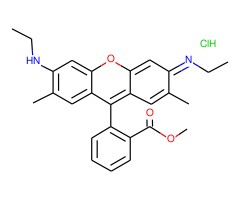 3,6-双(乙基氨基)-9-(2-(甲氧基羰基)苯基)-2,7-二甲基黄嘌呤氯化物图片