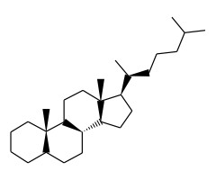 ααα（20S）-胆甾醇，100μg/ mL，异辛烷图片