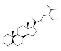 ααα(20R,24R)-24-乙基胆甾烷,1ml×100ug/ml-异辛烷图片