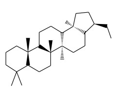 21α(H)-30-nor-A'-新伽玛蜡烷图片