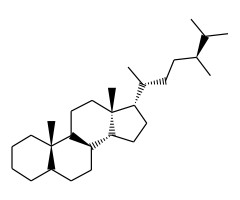 α，β，β20r，24s-甲基胆甾烷图片