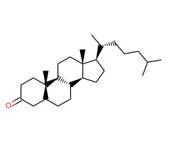 5-α-胆甾烷-3-酮图片
