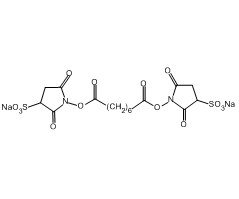 双琥珀酰亚胺辛二酸酯钠盐图片