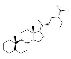 α（20S，24RS）-24-乙基胆甾烷，100μg/ mL，异辛烷图片
