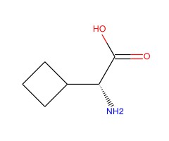 (R)-2-氨基-2-环丁基乙酸图片