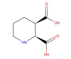 顺式-哌啶-2,3-二甲酸图片