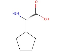 2-环戊基-L-甘氨酸图片