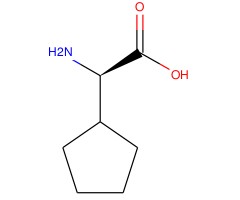 D-环戊基甘氨酸图片