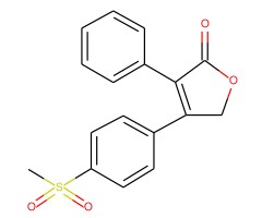 罗非昔布图片