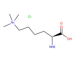 Nε,Nε,Nε-三甲基赖氨酸 盐酸盐图片