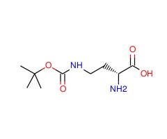 (R)-2-氨基-4-(Boc-氨基)丁酸图片