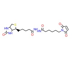 生物素-马来酰亚胺图片