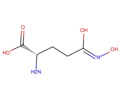 L-谷氨酸& # 947;-单羟基己酸酯图片