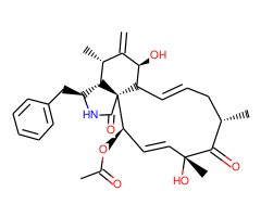 细胞松驰素D图片