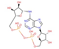 环二磷酸腺苷核酸糖图片