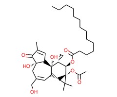 4α-佛波醇12-十四酸酯13-乙酸酯图片