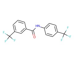 抗-SMC6 兔抗图片