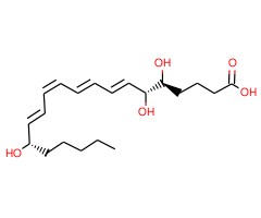 脂蛋白A4图片