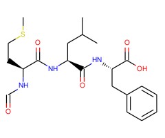 N-甲酰-甲硫氨酰-亮氨酰-苯丙氨酸图片
