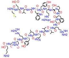 髓鞘少突胶质细胞糖蛋白肽片段35-55图片