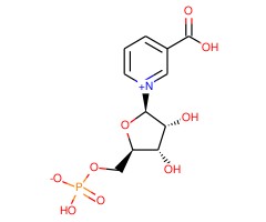烟酸单核苷酸图片