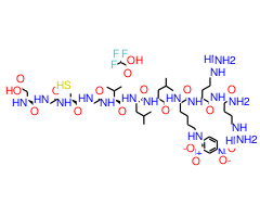 NMA-Gly-Cys-Gly-Val-Leu-Leu-Lys(dnp)-Arg-Arg-NH2 trifluoroacetate salt图片