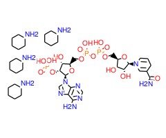 还原型 β-烟酰胺腺嘌呤二核苷酸磷酸 四环己铵盐图片