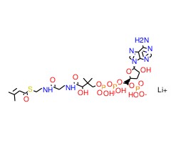 β-甲基巴豆酰基辅酶A 锂盐图片