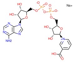 烟酸腺嘌呤二核苷酸 钠盐图片