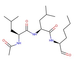钙蛋白酶抑制剂I图片